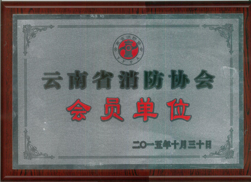 崇正华盛为云南省消防协会会员单位